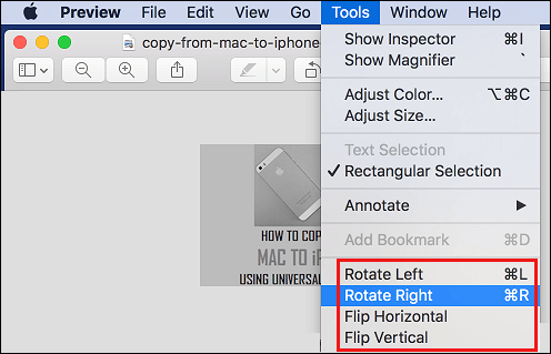 rotate a picture in word 2008 for mac